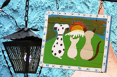 Schild mit Hund und zwei Katzen neben einer Laterne