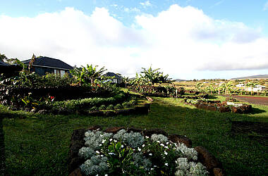 Garten des Altiplanico Rapa Nui