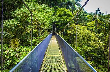 Hängebrücke im Nationalpark Vulkan Arenal