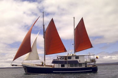 Die Yacht Samba bei gehissten Segeln, Galapagos Cruise, Ecuador