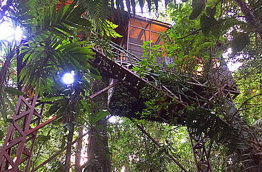 Baumhaus in dem Regenwäldern von Boca Tapada