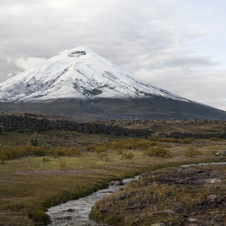 Der schneebedeckte Vulkan Cotopaxi im gleichnamigen Nationalpark
