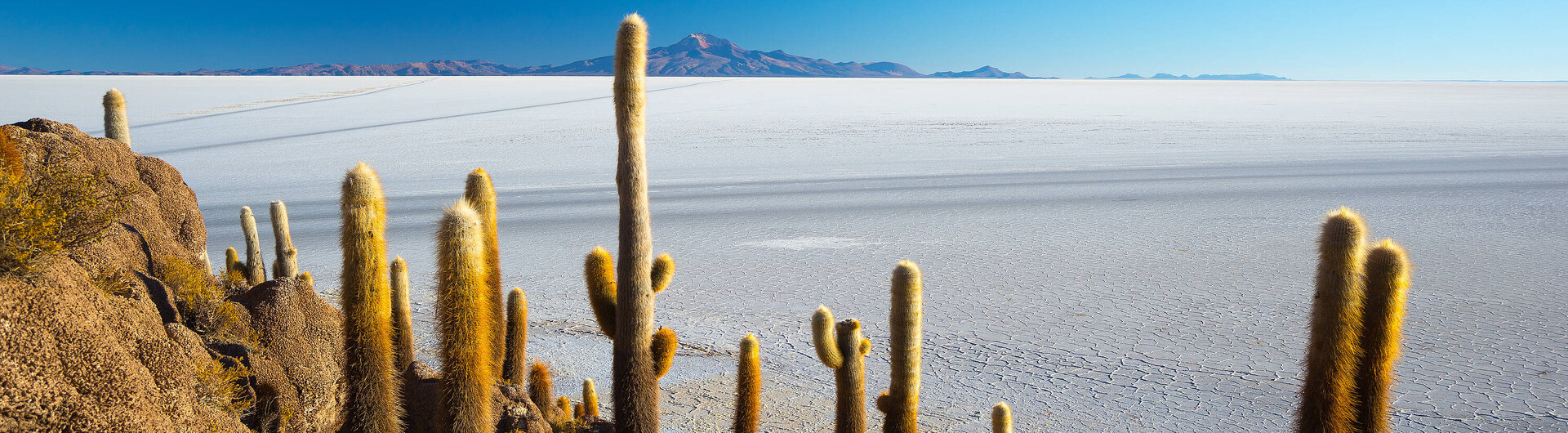 Eine weite, weiße Salzebene des Salar de Uyuni in Bolivien, unter einem strahlend blauen Himmel. Im Vordergrund sind felsige Hügel der Insel Incahuasi mit hohen, gelbbraunen Kakteen zu sehen. In der Ferne sind schemenhafte Berge erkennbar.
