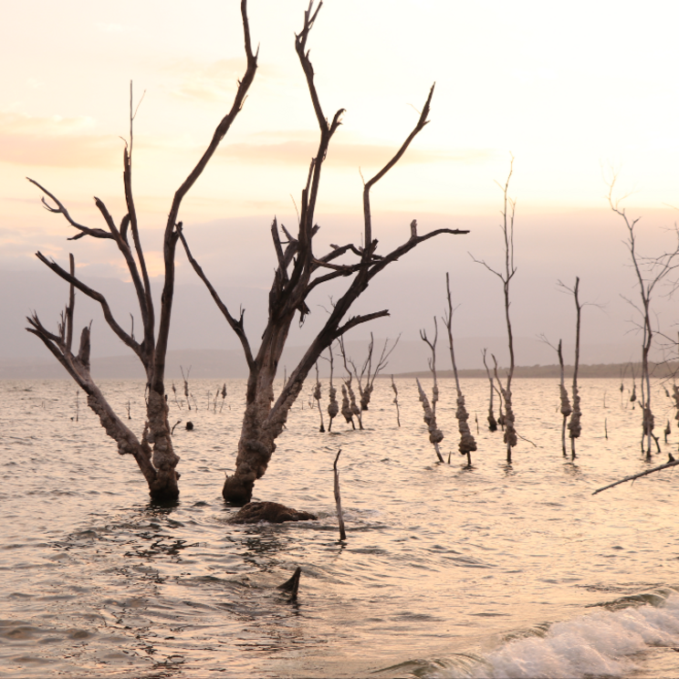 Abendstimmung am Lago Enriquillo als Zwischenstopp der Mietwagen-Rundreise „Der wilde Süden der Dominikanischen Republik“.