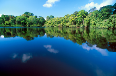 Blaues Wasser und grüne Vegetation im Tortuguero Nationalpark Cost Rica