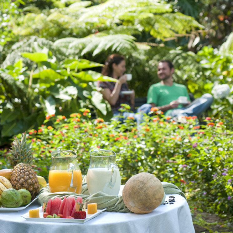 Frühstück mit frischen Früchten im Garten der Monteverde Lodge & Gardens, Costa Rica.
