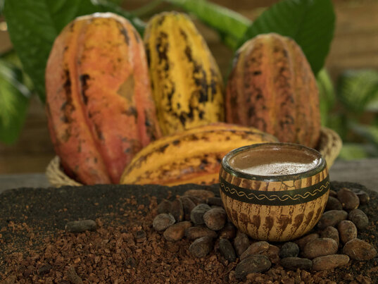 Kakaofrüchte, -bohnen und -paste in der Tirimbina Lodge, Costa Rica, zur Vorbereitung des traditionellen Kakaos.