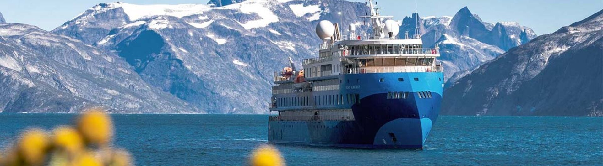 Das moderne Antarktis-Expeditionsschiff Ocean Albatros fährt durch das blaue Polarmeer vor einer gewaltigen, schneebedeckten Bergkulisse und gelben Blumen im Vordergrund