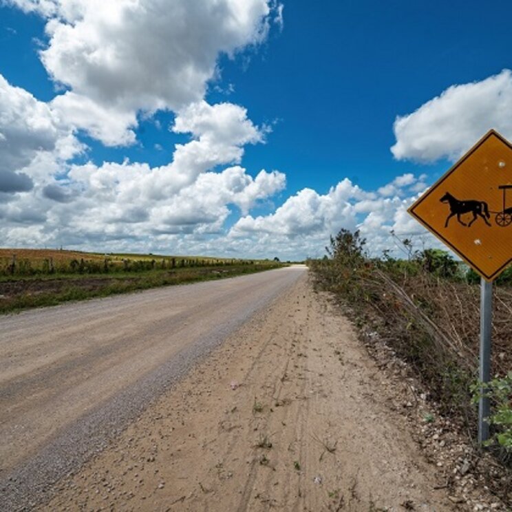 Warnschild für Pferdekutschen an einer Landstraße unter blauem Himmel in Belize.
