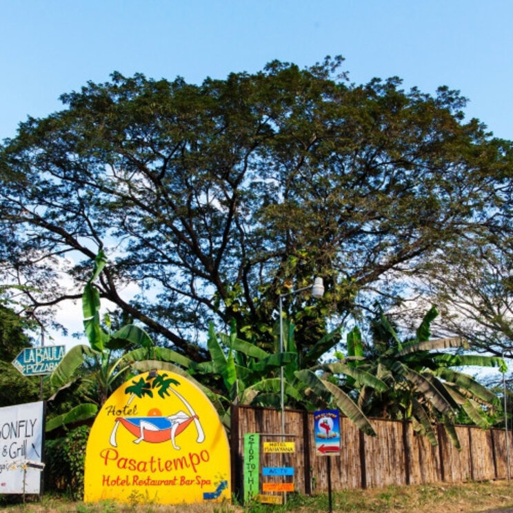 Eingangsbereich des Hotels Pasatiempo mit traditionellem Strohdach und tropischen Pflanzen in Costa Rica.