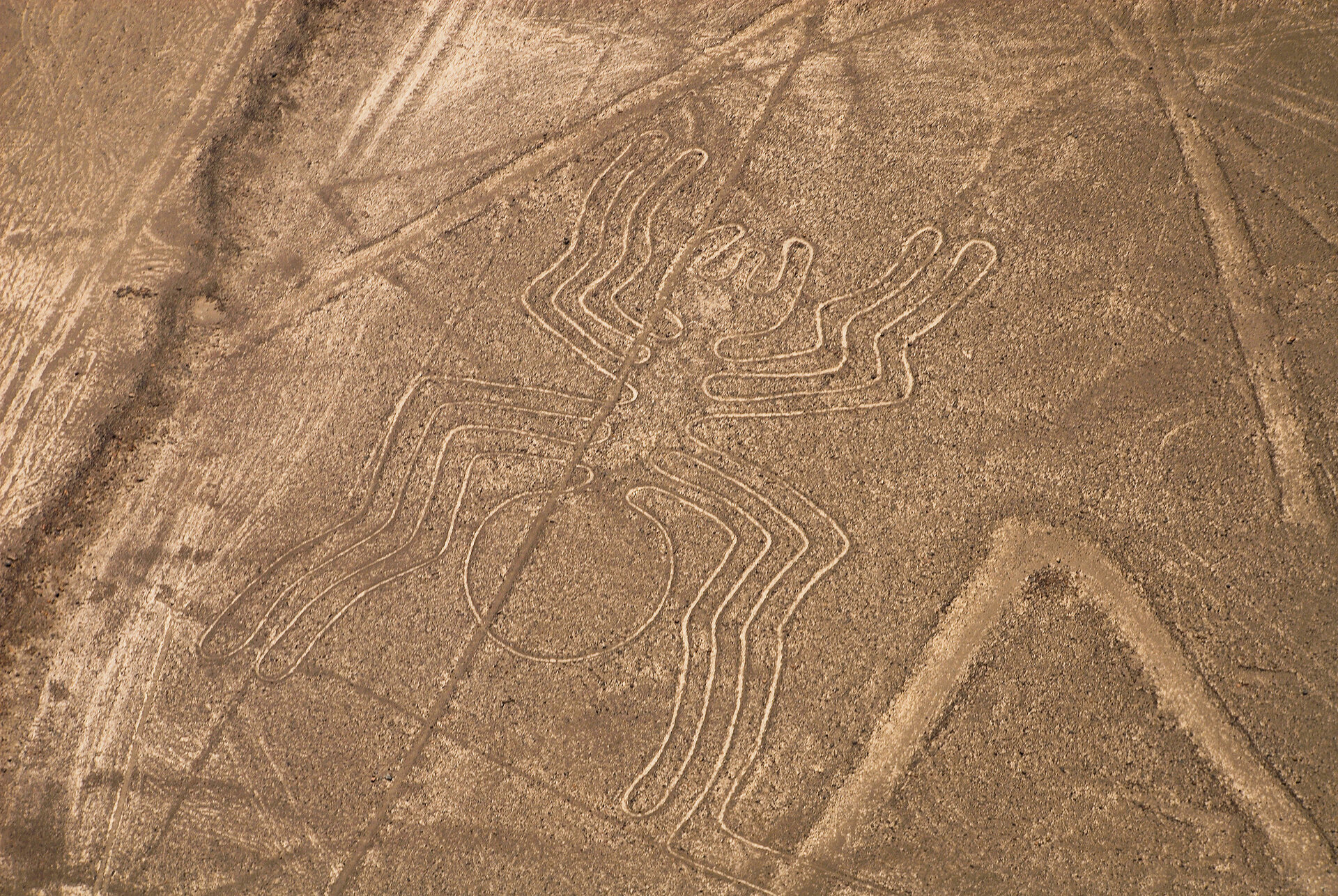 Spinne, Zeichen der Nazca-Linien in Peru