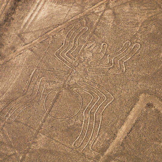 Spinne, Zeichen der Nazca-Linien in Peru