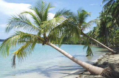 Palmen und weißer Sandstrand an der Karibikküste Kolumbien