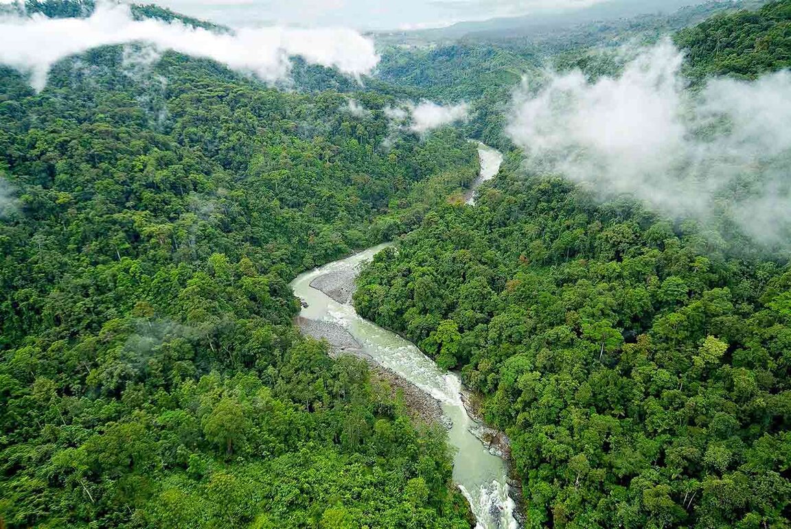 Luftaufnahme des üppigen Dschungels entlang des Flusses bei der Pacuare Lodge, Costa Rica.