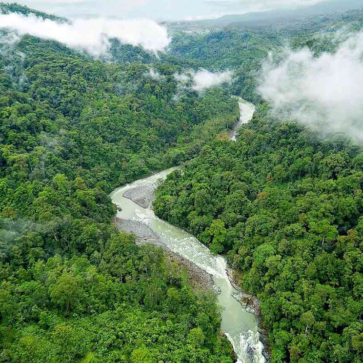 Luftaufnahme des üppigen Dschungels entlang des Flusses bei der Pacuare Lodge, Costa Rica.