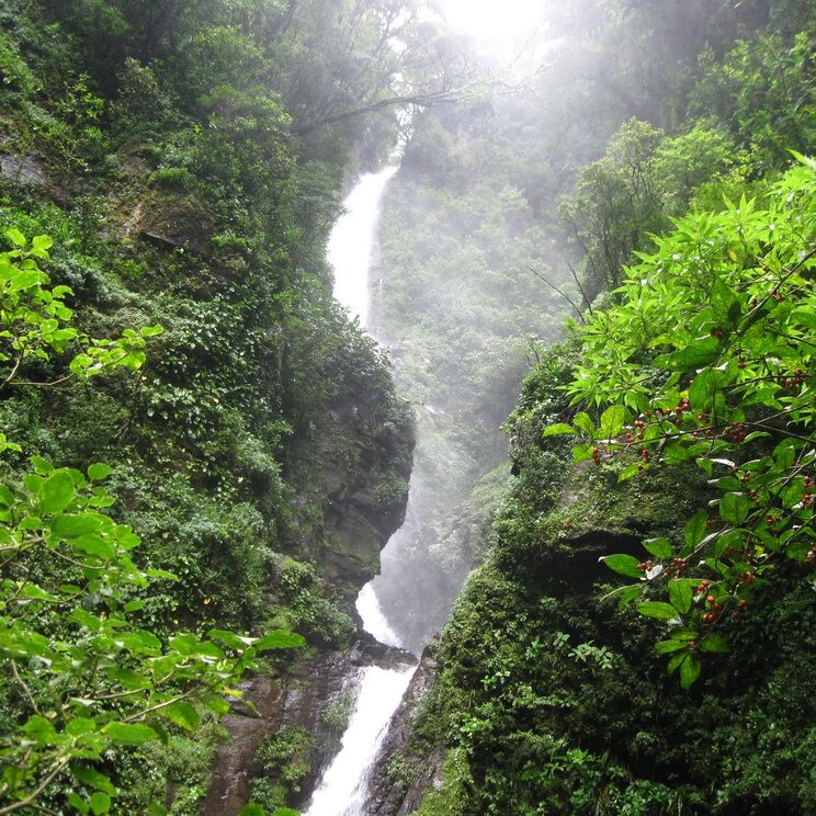 Wasserfall Monteverde Nebelwald Costa Rica