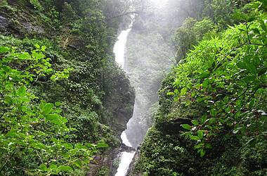 Wasserfall Monteverde Nebelwald Costa Rica