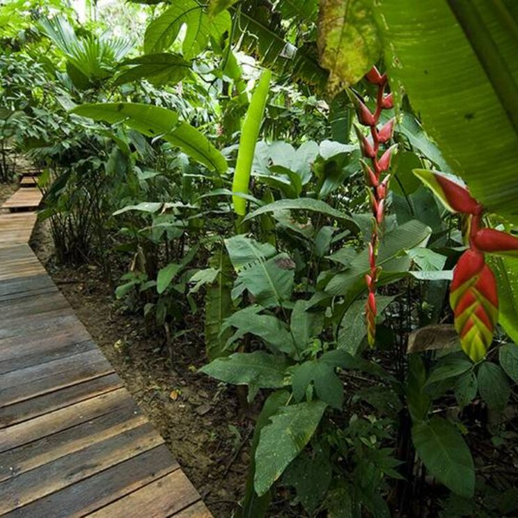 Begrünte Anlage der Calanoa Lodge im kolumbianischen Amazonas