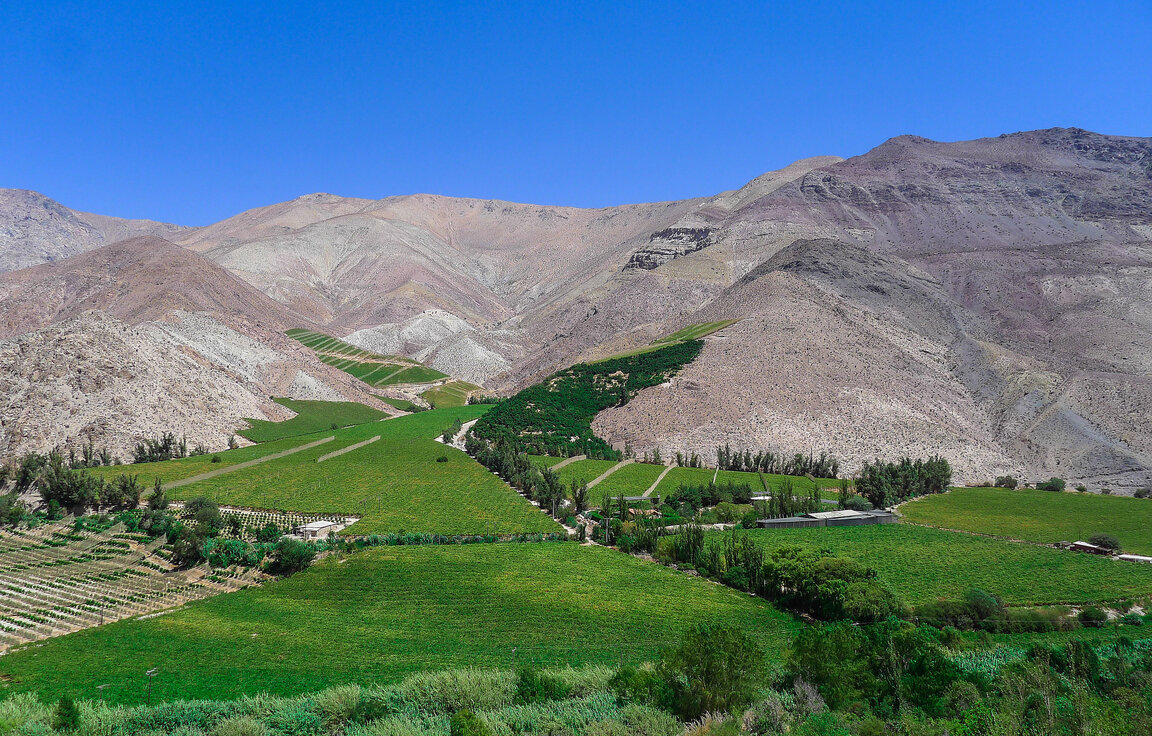 Valle de Elqui