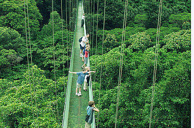 Hängebrücke im Monteverde Nebelwald Costa Rica