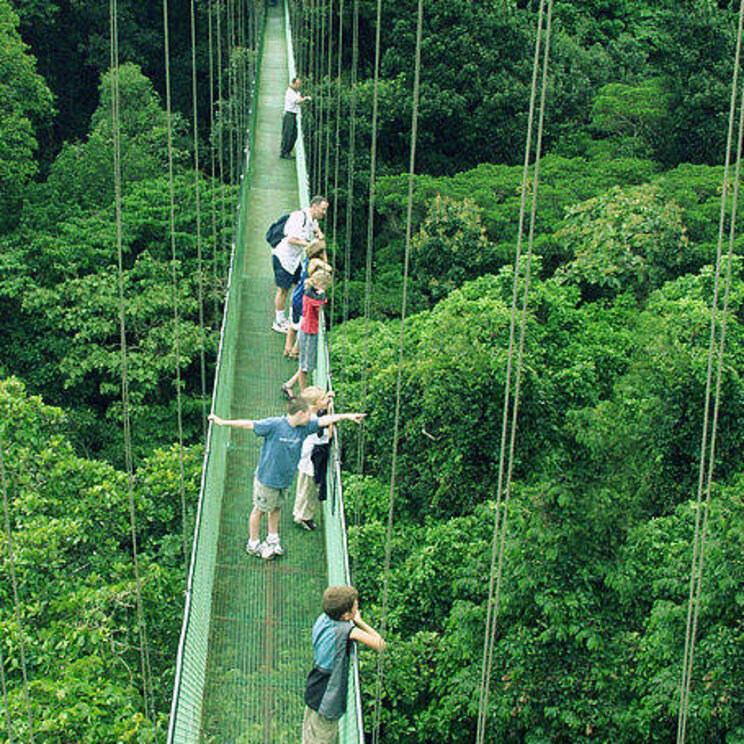 Hängebrücke im Monteverde Nebelwald Costa Rica