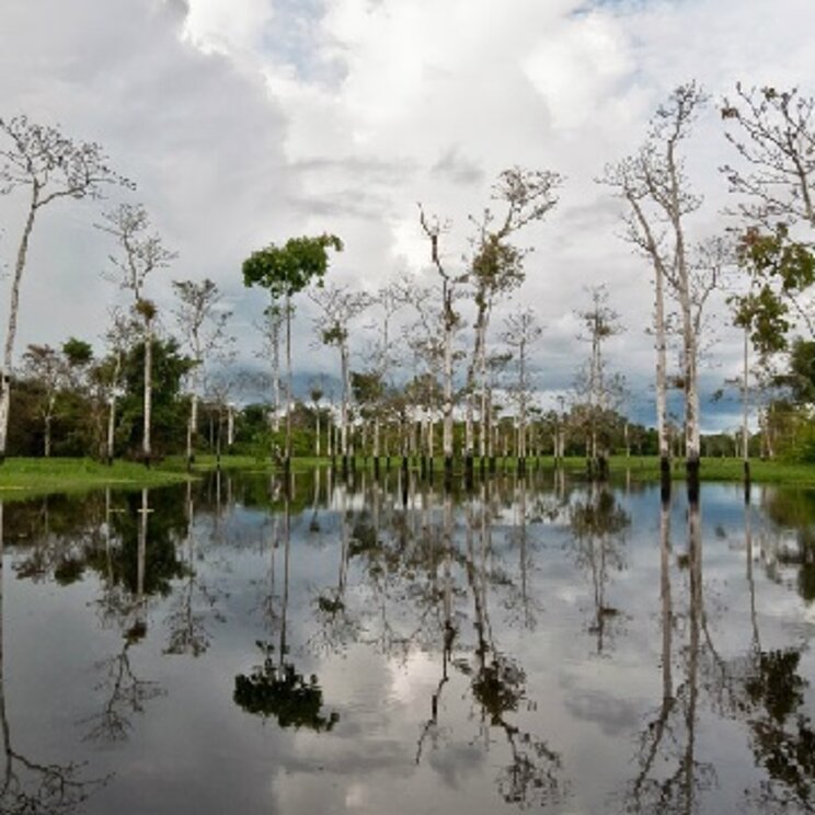 Mit dem Boot unterwegs in Iquitos, Amazonas von Peru
