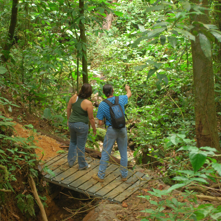 Zwei Personen stehen auf einer kleinen Holzbruecke auf einem Wanderweg im dichten Regenwald von Costa Rica.