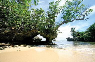Tropische Vegetation am Red Frog Beach, Bocas del Toro Panama