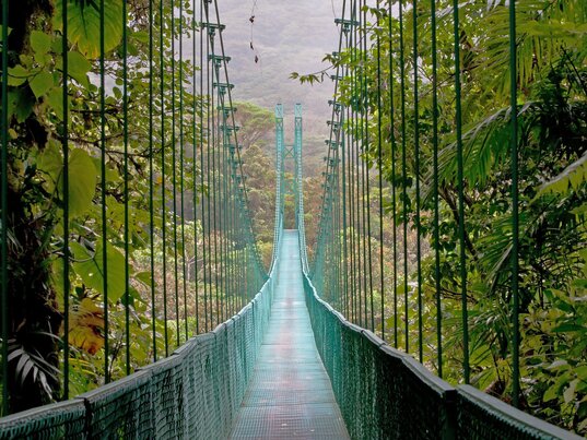 Hängebrücke im Monteverde Nebelwald in Costa Rica