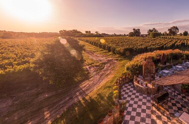 Terrasse und Weinberge auf der Finca Narbona in Uruguay