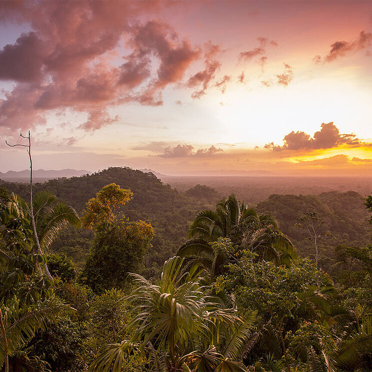 Blick der Copal Tree Lodge & Luxury Jungle Resort in Belize