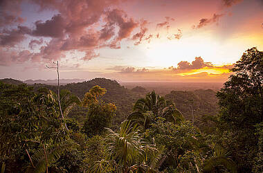 Blick der Copal Tree Lodge & Luxury Jungle Resort in Belize
