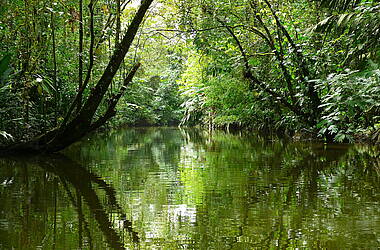 Kanal im Tortuguero Nationalpark, Costa Rica