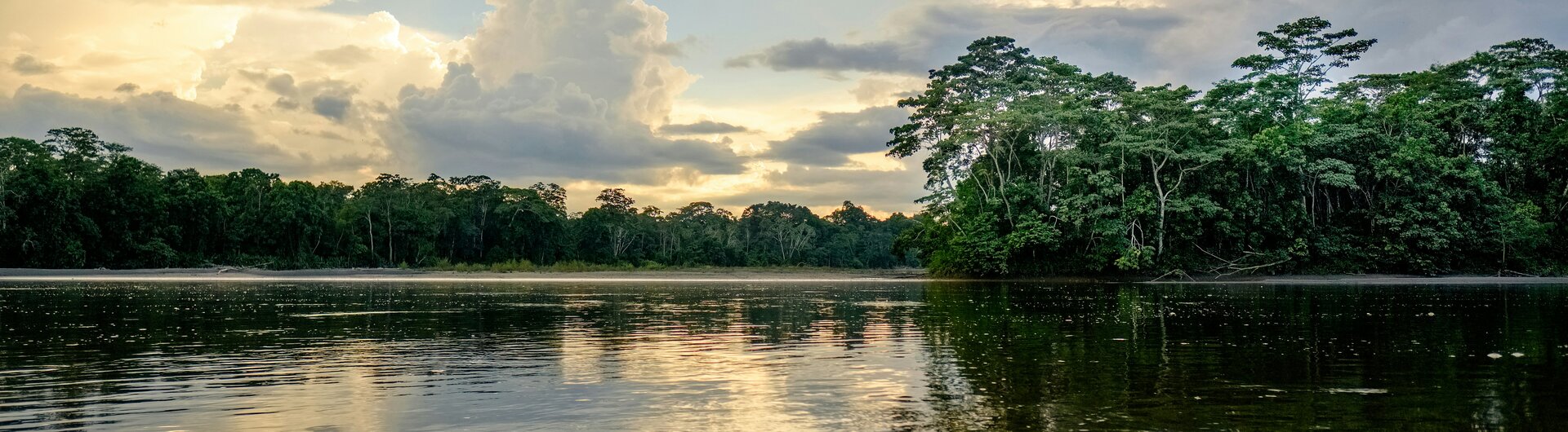 Sonnenaufgang über einem Fluss im Amazonas-Regenwald mit dichtem Uferwald und Wolkenreflexionen im Wasser.