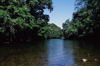 Membrillo Fluss in Panama