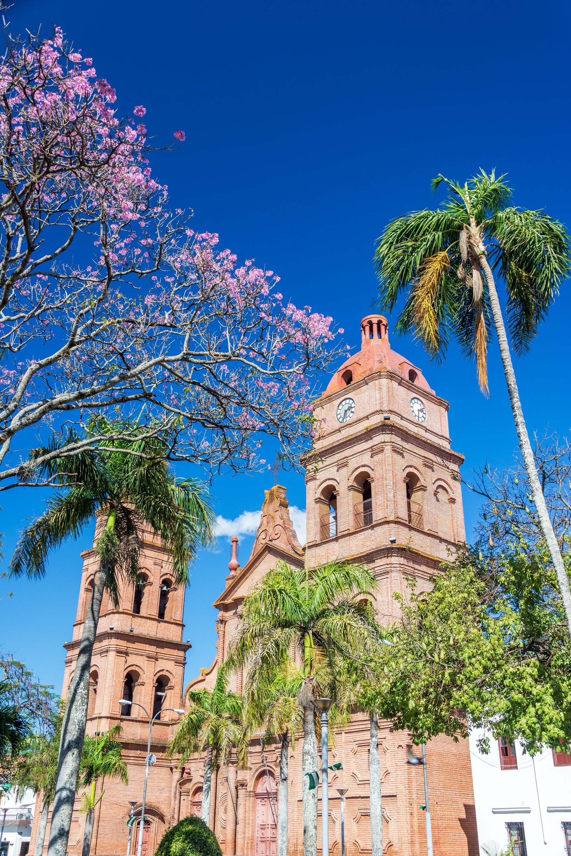 Kathedrale in Santa Cruz de la Sierra in Bolivien mit rosafarbenen Türmen, Palmen und blühendem Baum vor blauem Himmel.