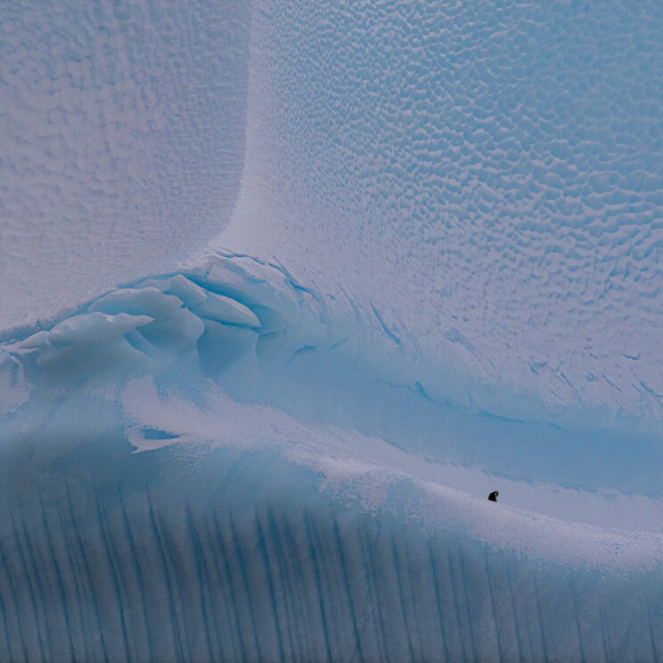 Einsame Pinguine erklimmen die monumentalen, blau leuchtenden Eishänge eines gigantischen Eisbergs, Antarktis