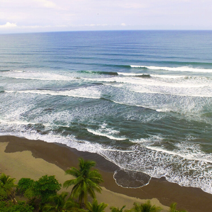 Arealaufnahme des Strandes in der Nähe des Manatus Hotels in Tortuguero, Costa Rica, mit Wellen und grüner Vegetation.