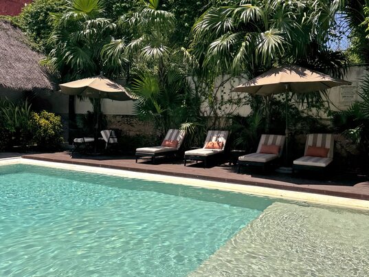 Sonnige Poolanlage mit Liegestühlen, Sonnenschirmen und tropischer Bepflanzung im Hotel Casa Lucia, Merida.