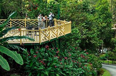 Mirador vom Hotel Savegre Natural Reserve & Spa in San Gerado de Dota, Nebelwald Costa Rica