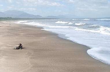 Einsamer Strand im Hotel Playa Koralia, Karibikküste von Buritaca