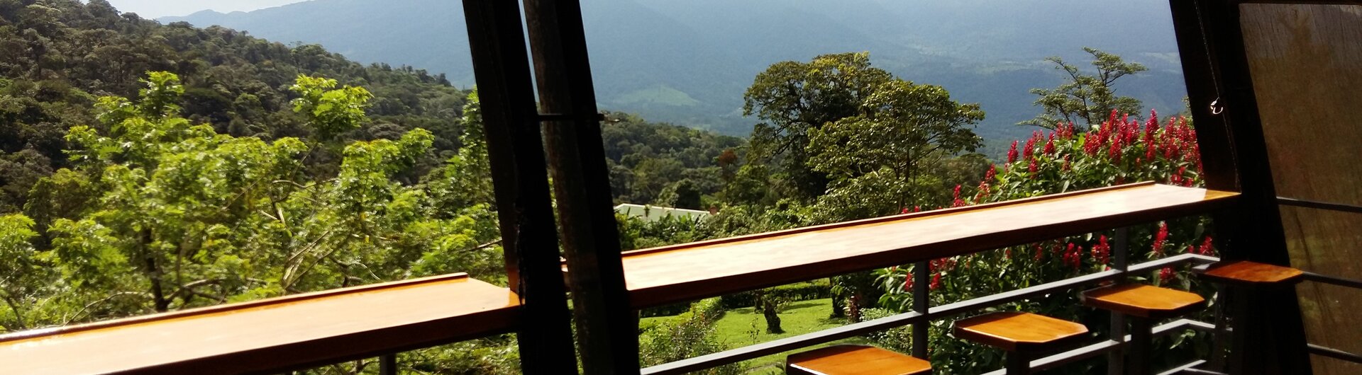 Holztheke mit Barhockern in der Celeste Mountain Lodge mit Blick auf die bewaldeten Berge des Tenorio Nationalparks