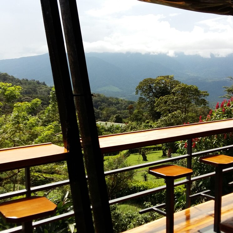 Holztheke mit Barhockern in der Celeste Mountain Lodge mit Blick auf die bewaldeten Berge des Tenorio Nationalparks