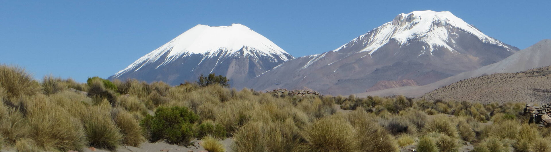 Sajama Nationalpark mit höchstem Berg Boliviens, dem Mt. Sajama