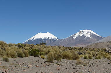 Sajama Nationalpark mit höchstem Berg Boliviens, dem Mt. Sajama