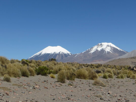 Sajama Nationalpark mit höchstem Berg Boliviens, dem Mt. Sajama
