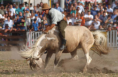Gaucho zu Pferd bei einer Show im Uruguay