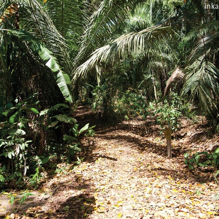 Aktivitäten im Regenwald rund um die Inakterra Hacienda Concepcion in Puerto Maldonado, Amazonas von Peru