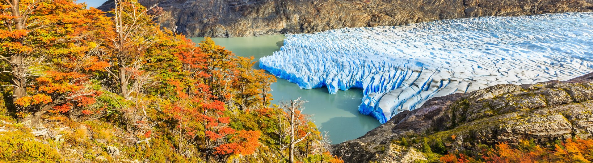 Der blaue Grey-Gletscher mündet in einen See, umgeben von herbstlich gefärbten Bäumen im Nationalpark Torres del Paine.