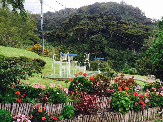 Weisse Metallstühle an einem Tisch auf einer Rasenfläche mit Blumenrabatten vor Wald in Boquete, Panama.